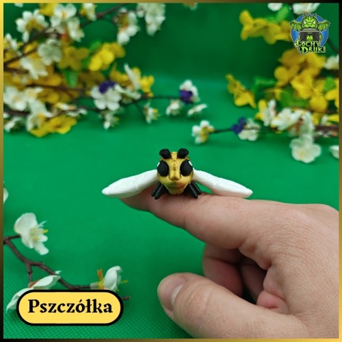 Pszczółka GŁÓWNE.jpg