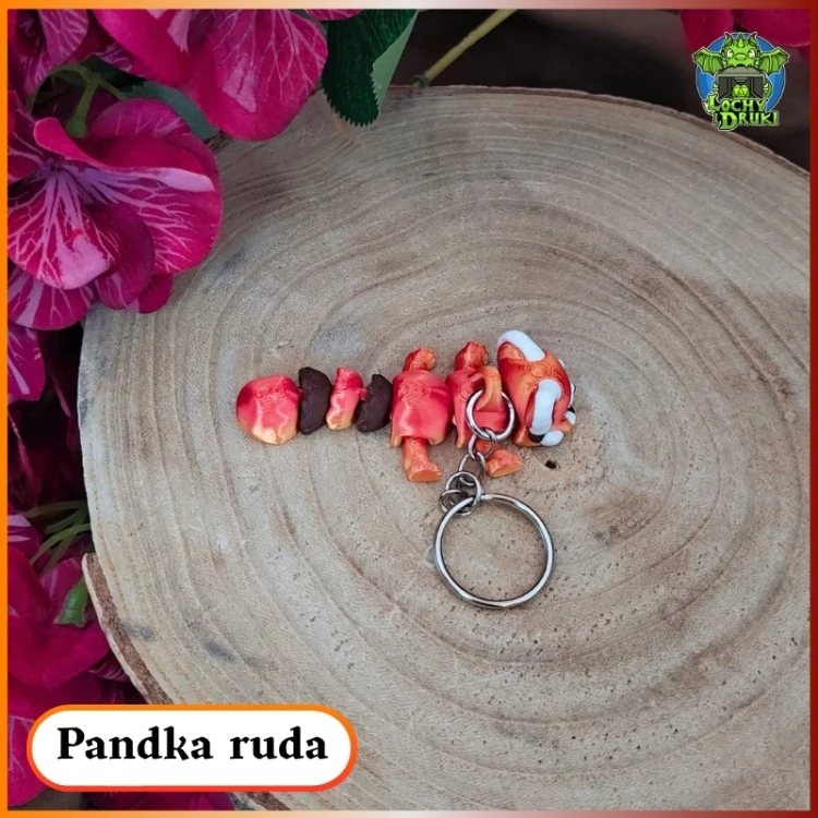 Pandka ruda 4.jpg