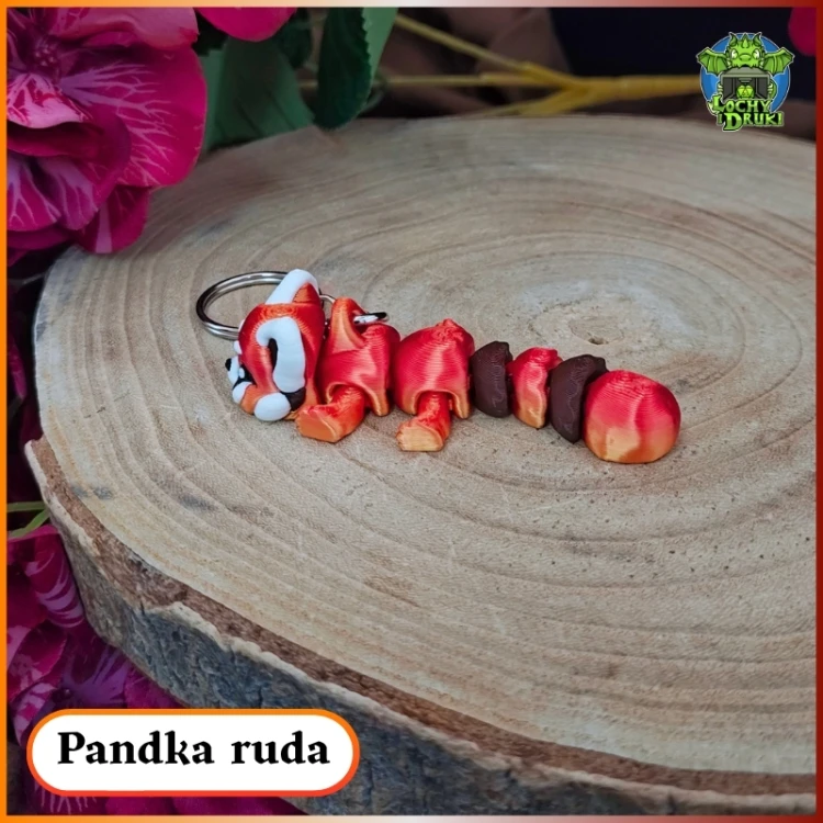Pandka ruda 6.jpg
