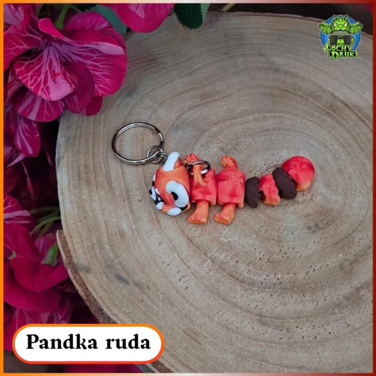 Pandka ruda 7.jpg