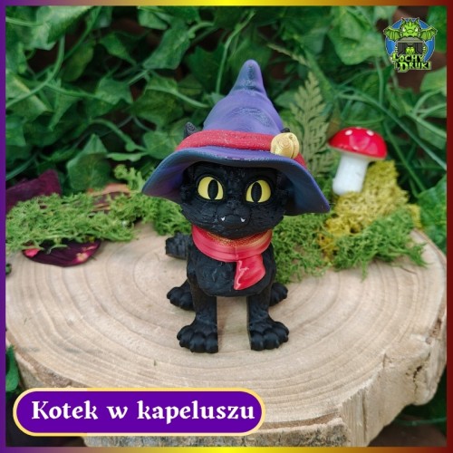 Kotek w Kapeluszu 1.jpg