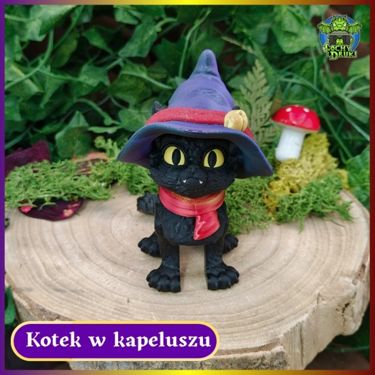 Kotek w Kapeluszu 1.jpg