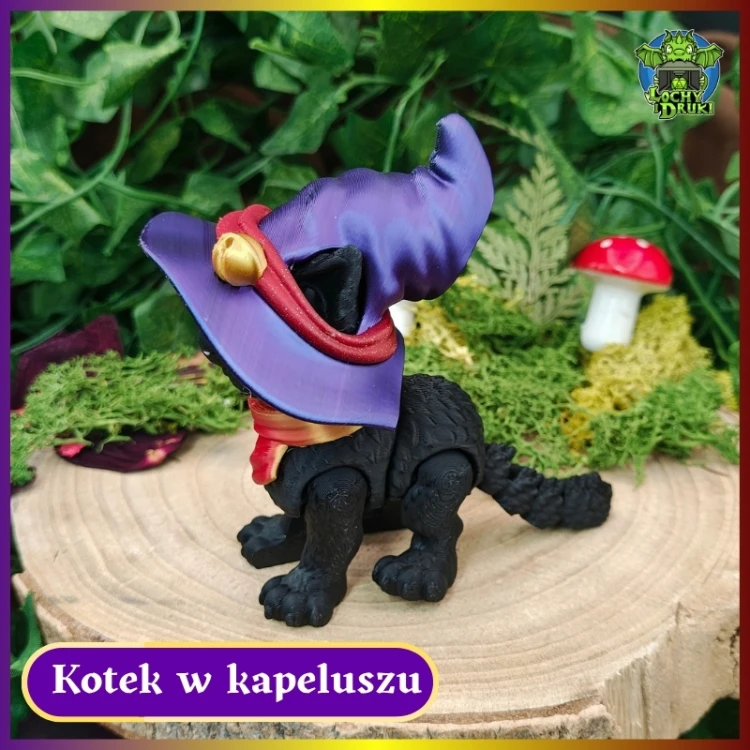Kotek w Kapeluszu 3.jpg