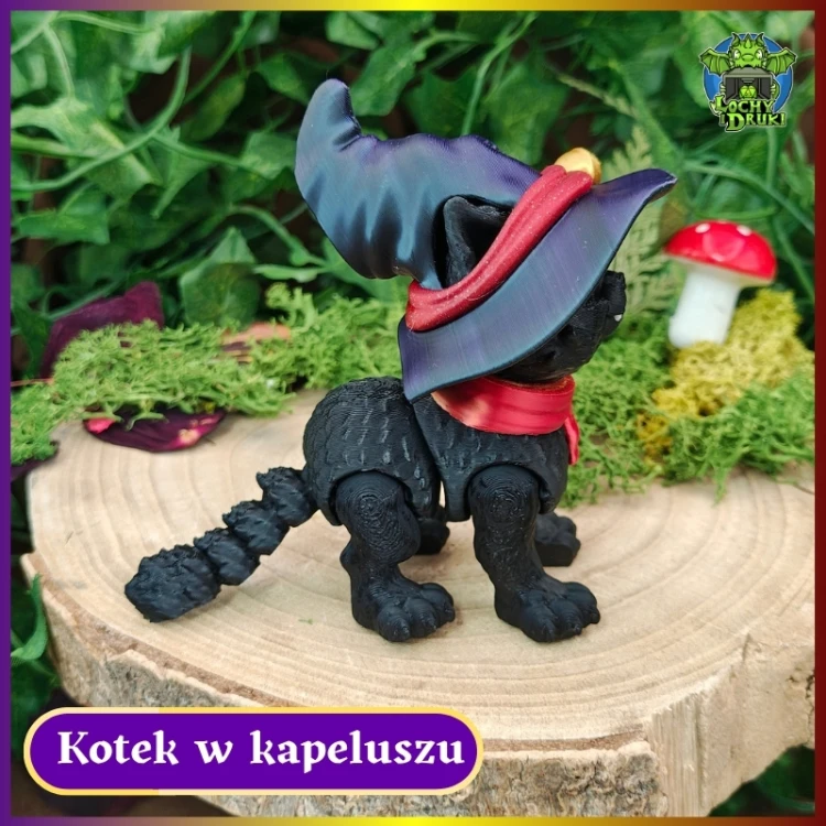 Kotek w Kapeluszu 4.jpg