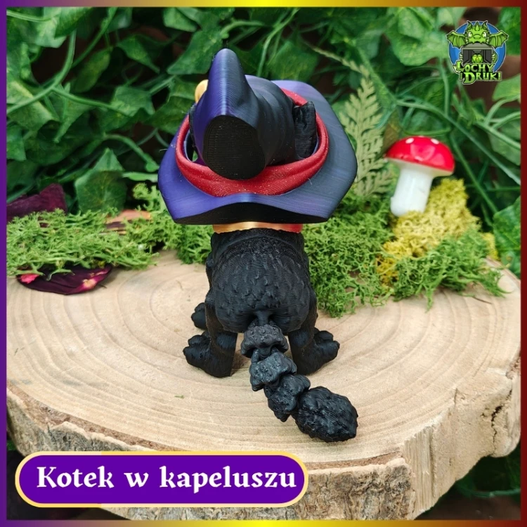 Kotek w Kapeluszu 5.jpg