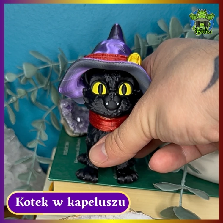 Kotek w Kapeluszu 6.jpg