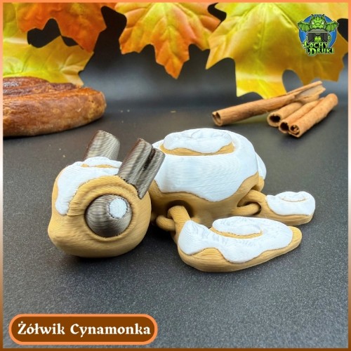Żółwik Cynamonka GŁÓWNE.jpg