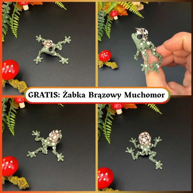 ZESTAW DUŻY GRATISY ŻABKA.jpg