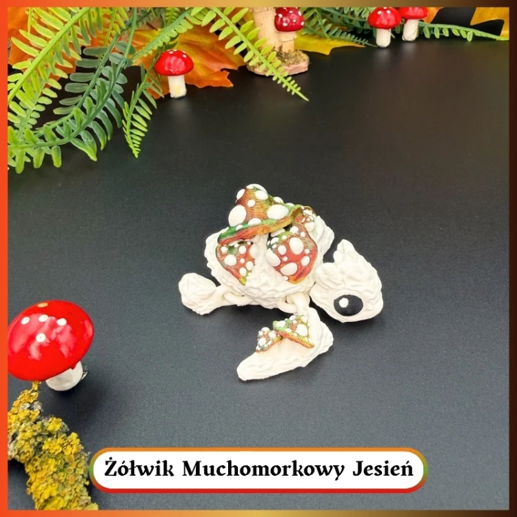 ŻÓŁWIK MUCHOMORKOWY 1.jpg