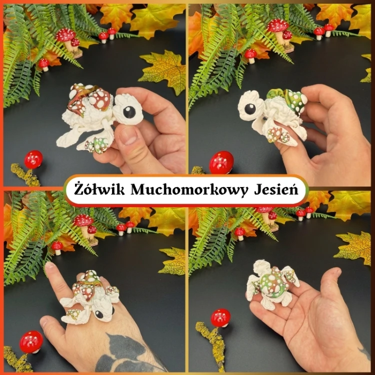 ŻÓŁWIK MUCHOMORKOWY 2.jpg