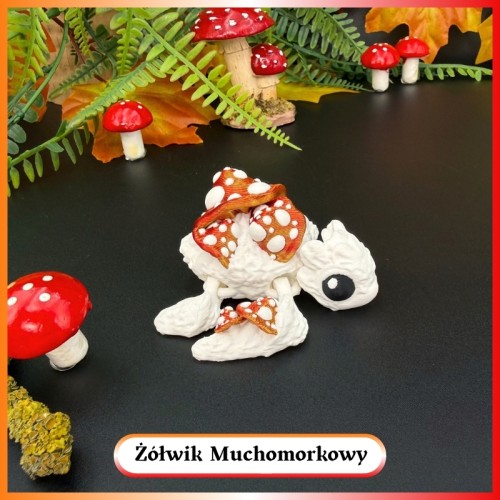 Żółwik Muchomorkowy GŁÓWNE.jpg