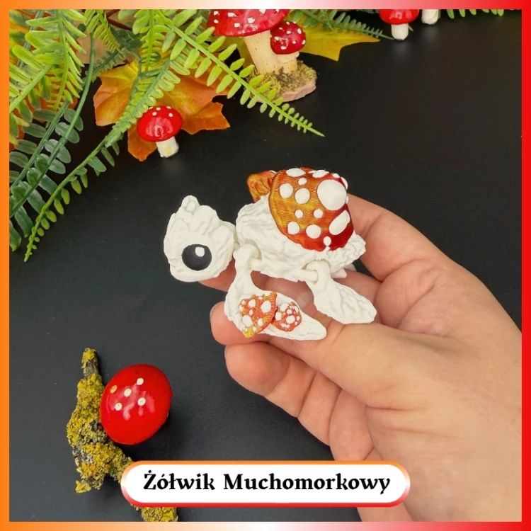 Żółwik Muchomorkowy 1.jpg