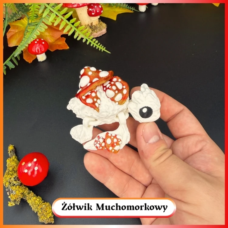 Żółwik Muchomorkowy 3.jpg
