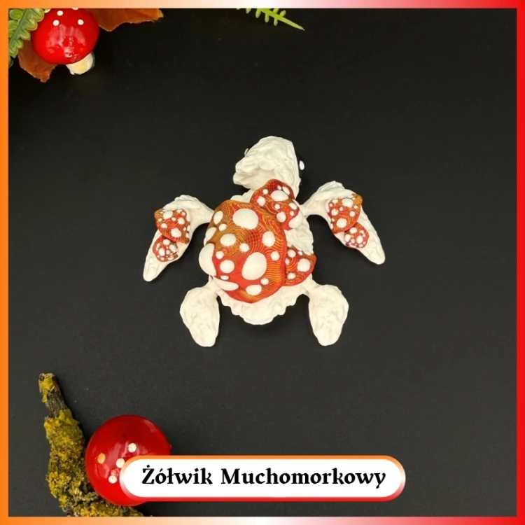 Żółwik Muchomorkowy 4.jpg
